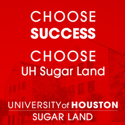 University of Houston