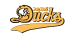 Long Island DUcks